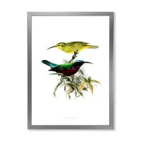 DesignArt 'Антички австралиски птици xv' Традиционална врамена уметничка печатење