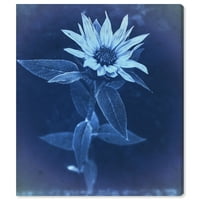 Авенија на пистата Авенија Флорална и ботаничка wallидна уметност платно „Цветни сонце печати цијанотип“ флорали - сина, бела