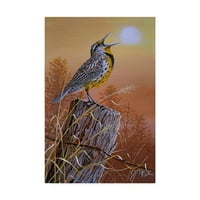 Трговска марка ликовна уметност „Meadowlark сликарство“ платно уметност од effеф Тифт