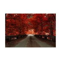 Трговска марка ликовна уметност „Есенска уметност на црвениот мост“ од Владимир Костк